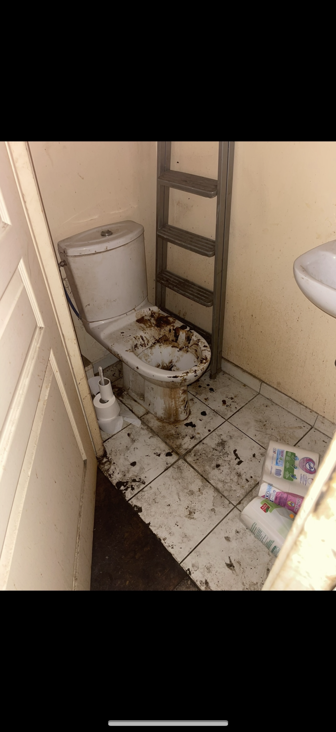 WC après désinfection biocide